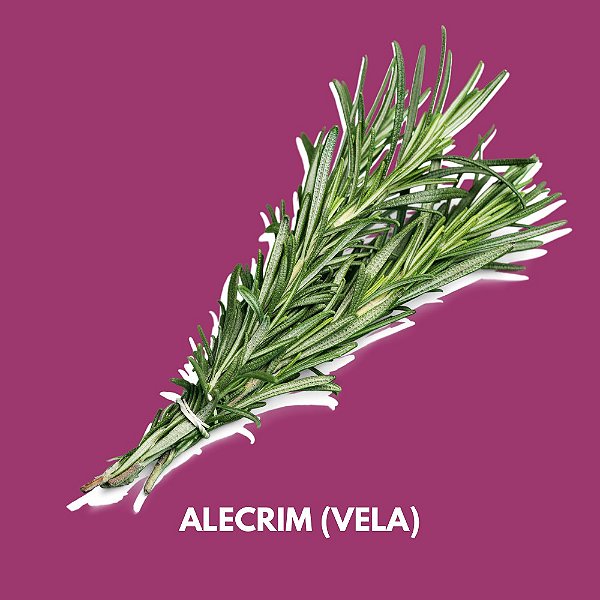 Essência de Alecrim-Para Vela