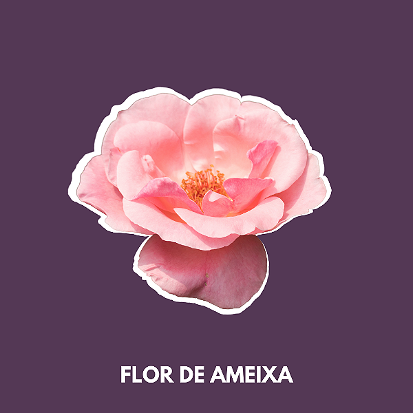Essência Flor de Ameixa Primola-100mL