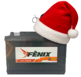 Bateria Fenix 100AH