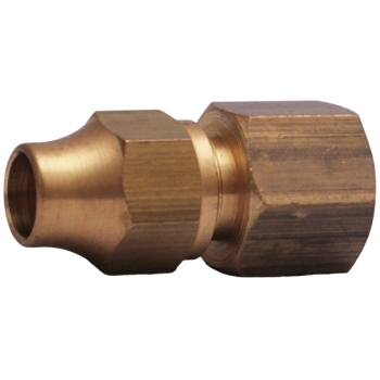 Conector SAE Fêmea NPT