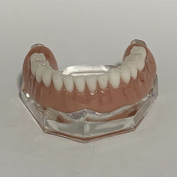 Manequim Odontológico Prótese Total Inferior