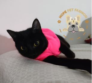 Roupas de Inverno Hope Pet Fashion