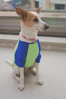 Camisa de proteção UV - Azul e Verde