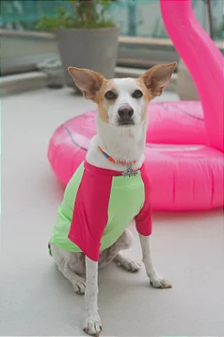 Camisa de proteção UV - Rosa e Verde