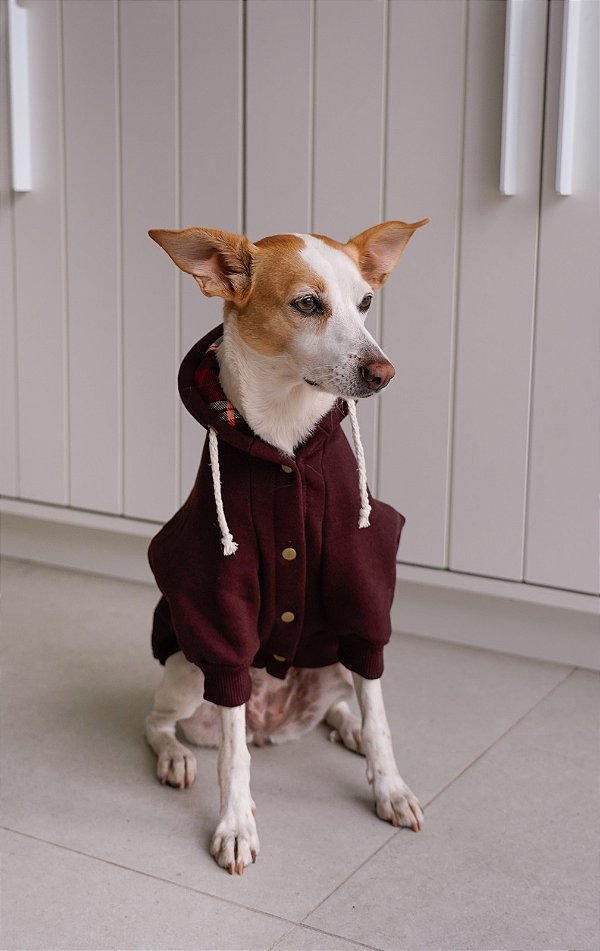 Moletom para Cachorro - Toffee
