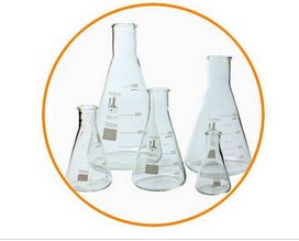 ERLENMEYER - 2 LITROS