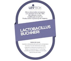 Lactobacillus Buchneri