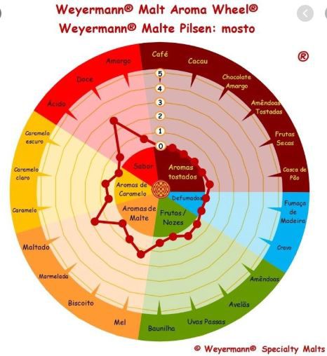 Malte Pilsen Alemão Weyermann 1 Kg