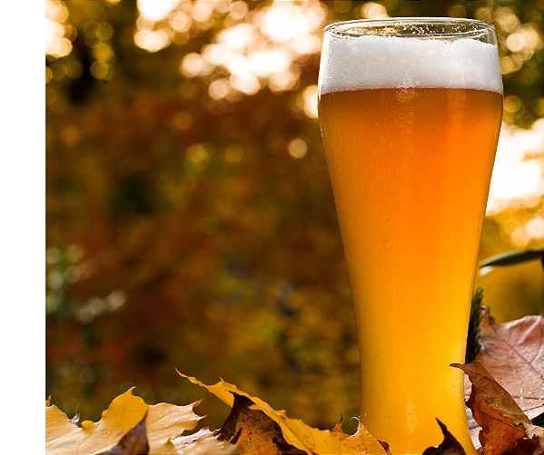 Kit Receita Weissbier 20 Litros