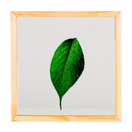 Quadro de vidro folha verde 27x27 cm
