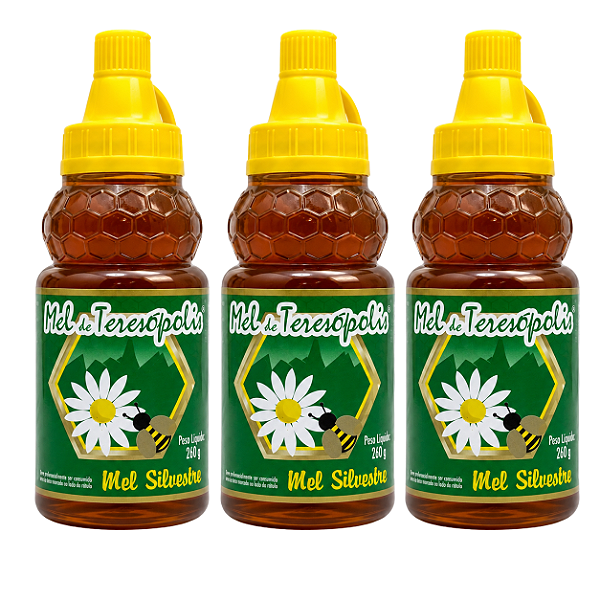 Mel Silvestre Puro De Teresopolis 260g  kit 3 unidades