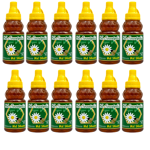 Mel Silvestre Puro De Teresopolis 260g kit 12 unidades