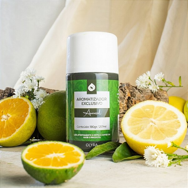 Refil Aerosol Citric Fitness 257ml/180g