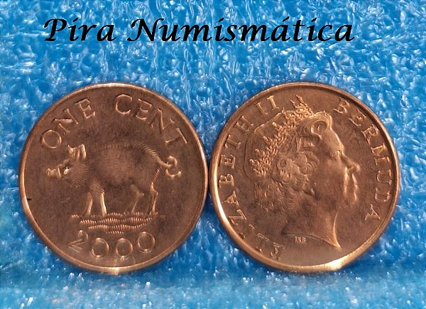 BERMUDAS - 1 CENT - 2000