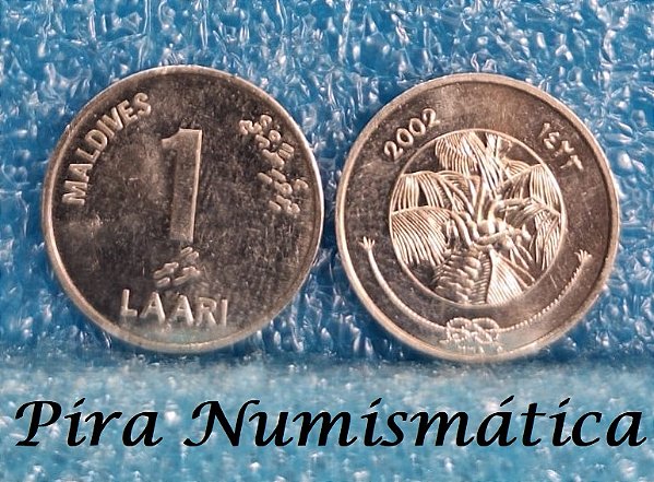 MALDIVAS - 1 LAARI ( FAO )- 2002