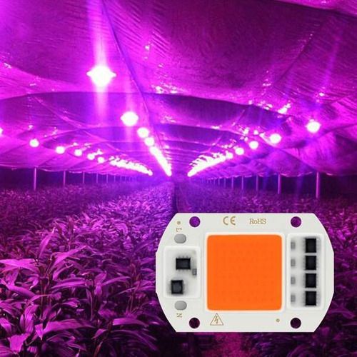 Chip LED COB 50W Full Spectrum Cultivo Grow Planta Aquário 220V