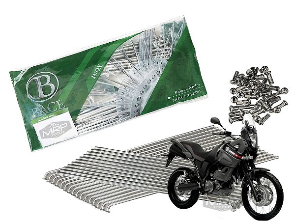Jogo de Raios Aço Inox Polido 4mm Bace Traseiro Xt 660 Z Ténéré