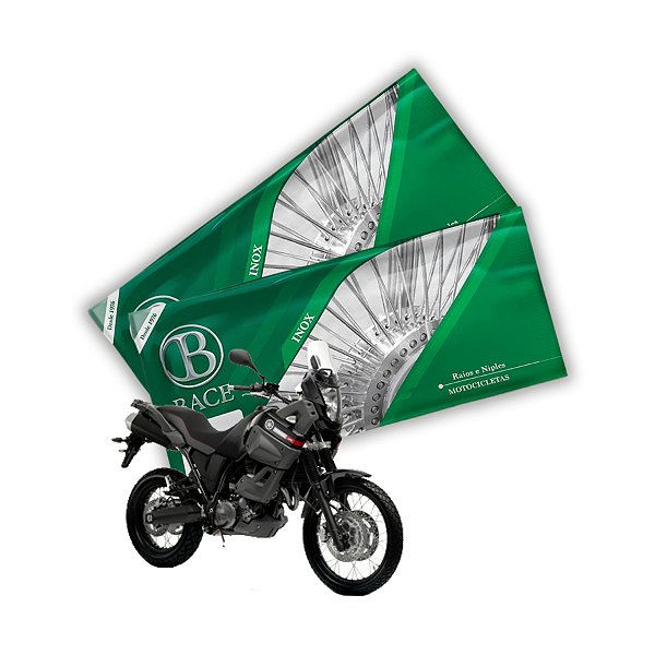 Jogo de Raios Aço Inox Polido 4mm Bace Dianteiro e Traseiro Xt 660 Z Ténéré