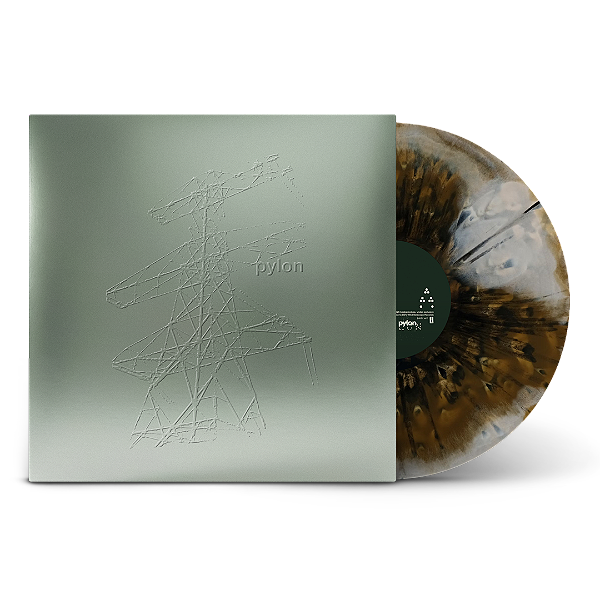 Vinil beabadoobee - Pylon - Exclusive Foil Sleeve 'Bird Shit' Vinyl