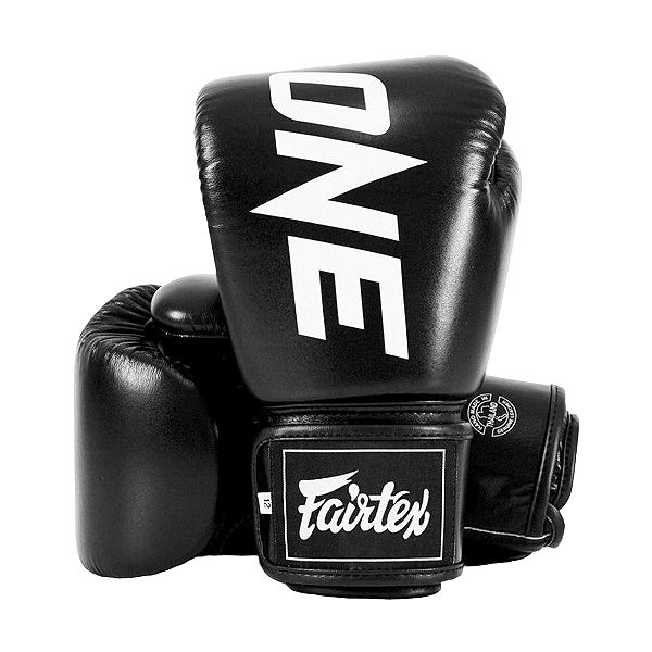 Luva de Muay Thai Boxe - Fairtex BGV1 "One"
