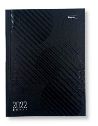 Agenda 2026 Cost 123x166 Modena - Foroni