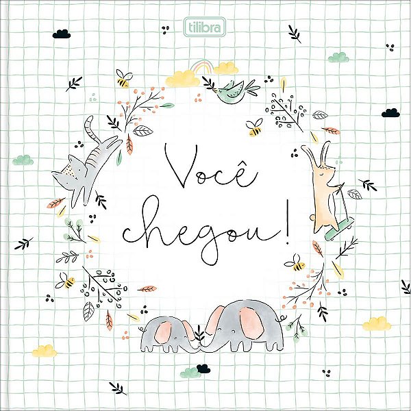 Diario Do Bebe 34f Voce Chegou - Tilibra