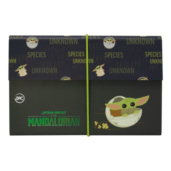 Pasta Sanfonada 6 Div Em Cartao Star Wars - Dac