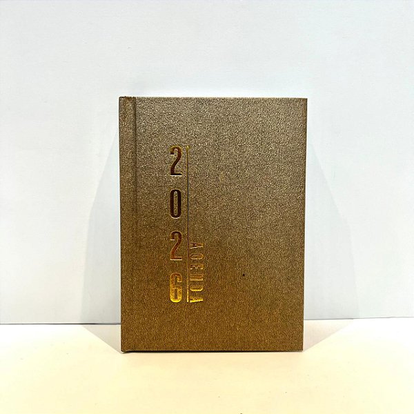 Agenda 2026 A6 340f Lisa Sortida - Dcarte