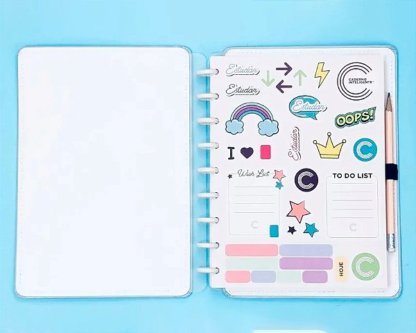 Folha Adesivo Medio Variados - Caderno Inteligente