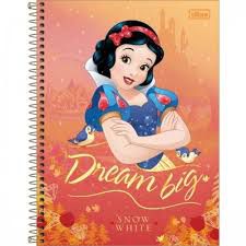 Caderno Esp Cd Univ 1m 96f Princesas - Tilibra