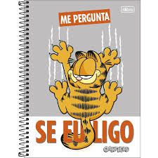 Caderno Esp Cd Univ 10m 160f Garfield - Tilibra