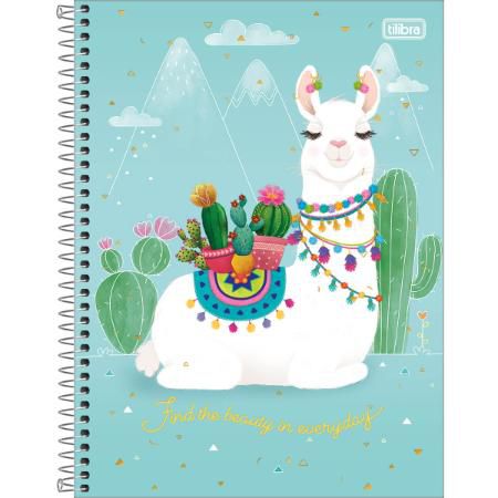 Caderno Esp Cd Univ 10m 160f Coleg Hello - Tilibra