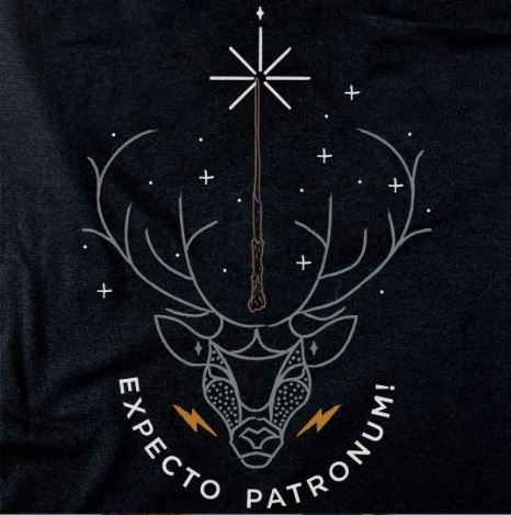 Camiseta Harry Potter M - Zona