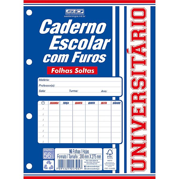 Caderno Esc Furos 1/4 96f - Sd