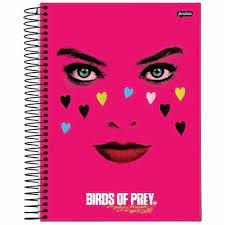 Caderno Esp Univ Cd 1m 96f Birds Of Prey - Jandaia