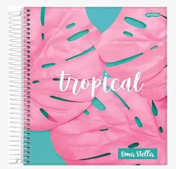 Caderno Esp Univ Cd 12m 192f Stella - Jandaia