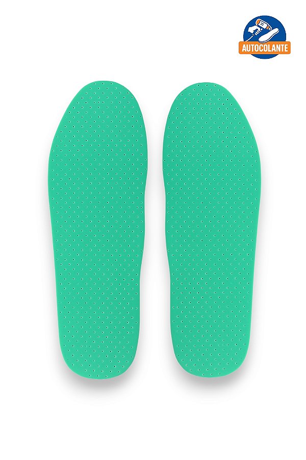 Palmilha Ecosystem Bidensidade Verde