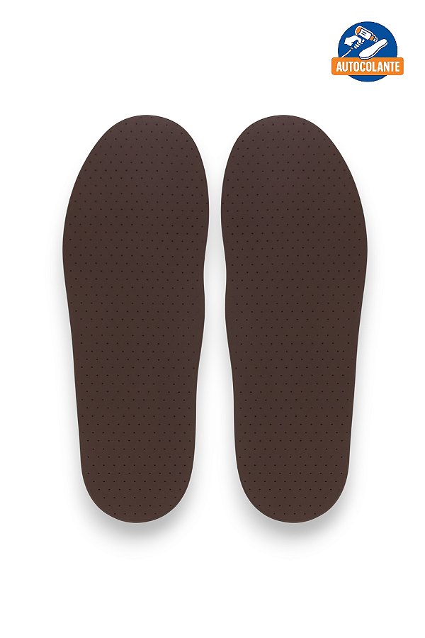 Palmilha Ecosystem Bidensidade Café