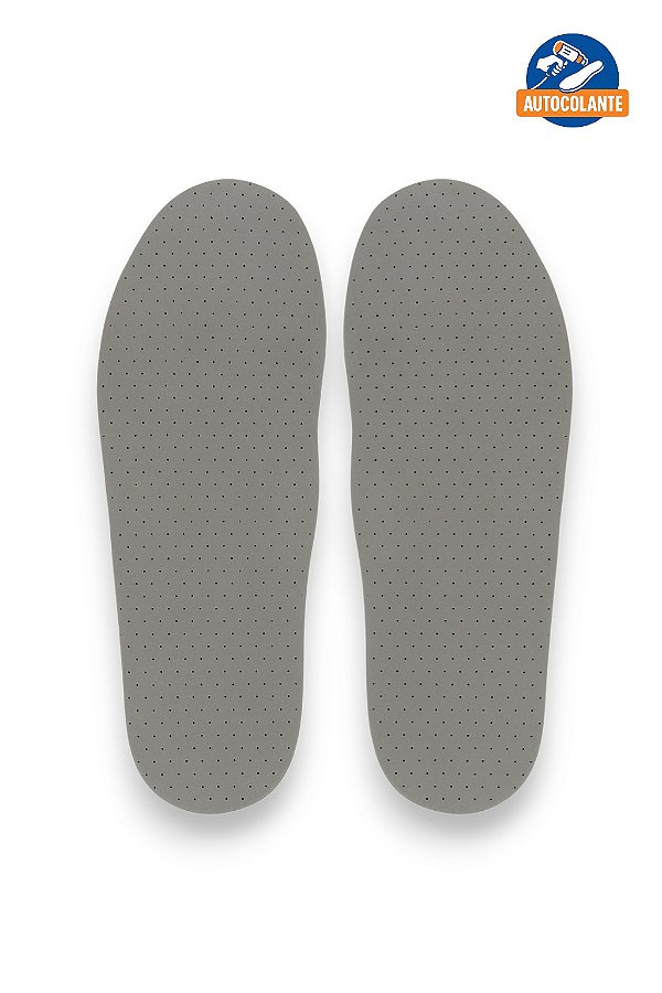 Palmilha Ecosystem Bidensidade Cinza