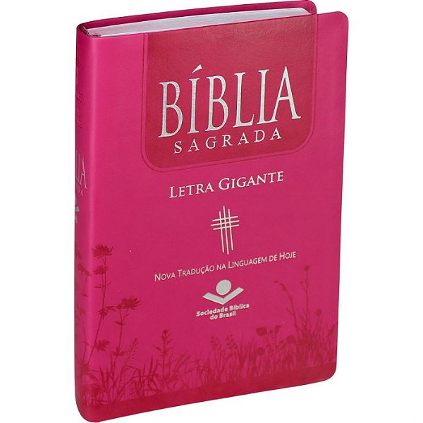 Bíblia Sagrada NTLH Letra Gigante - Rosa Pink