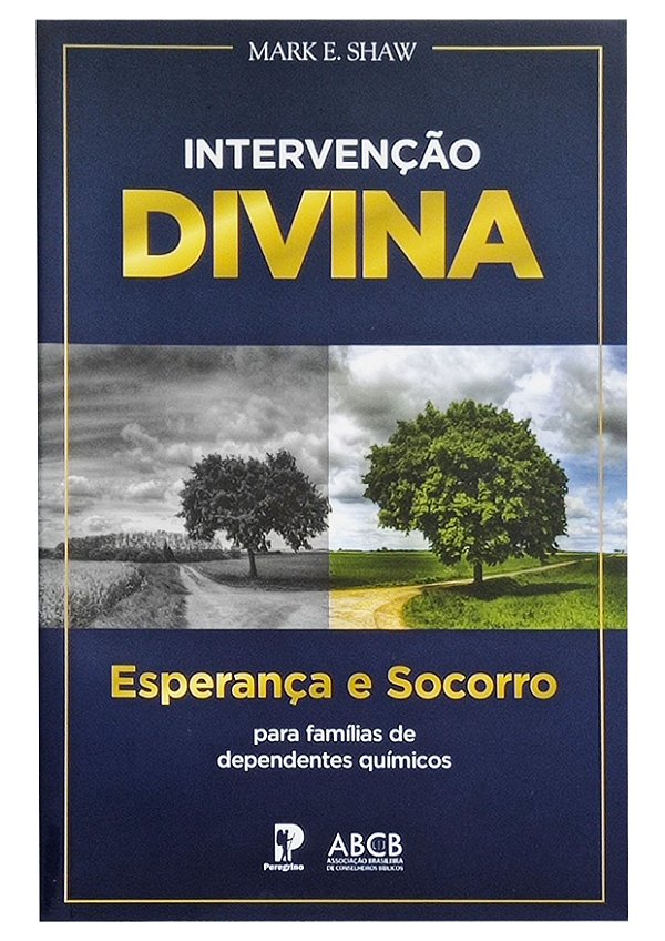 Intervenção Divina Esperança e Socorro para Famílias de Dependentes Químicos - Mark E. Shaw