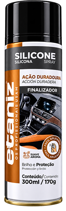 SILICONE SPRAY ETANIZ CARRO NOVO