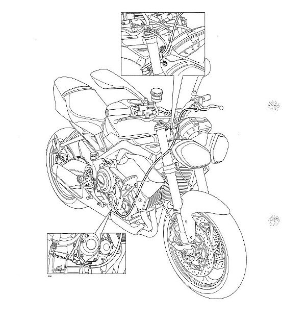 Manual de Serviço Triumph Daytona e Street Triple Normal ou R 675 2012 a 2013