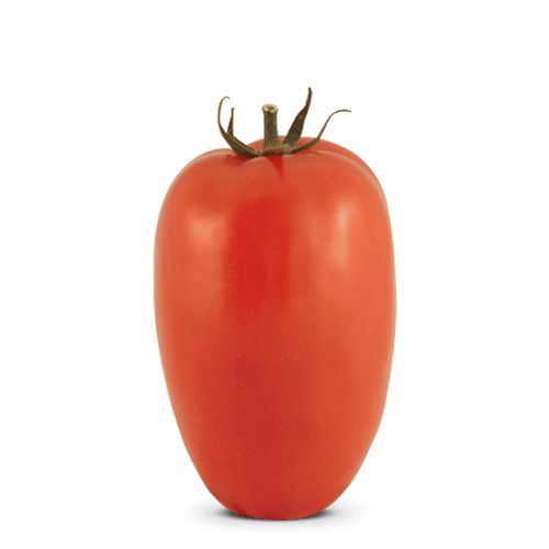 SEMENTES DE TOMATE PLUTÃO  (20 SEMENTES / 0,02G)