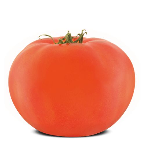 Sementes de Tomate Yapussú - Caqui (20 Sementes 0,02g)