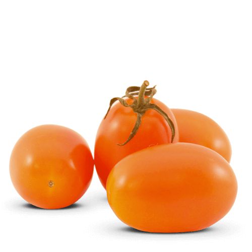 SEMENTES DE TOMATE GRAPE LARANJA - JACY (12 sementes / 0,02g)