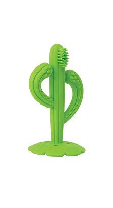 Massageador De Gengiva Cacto
