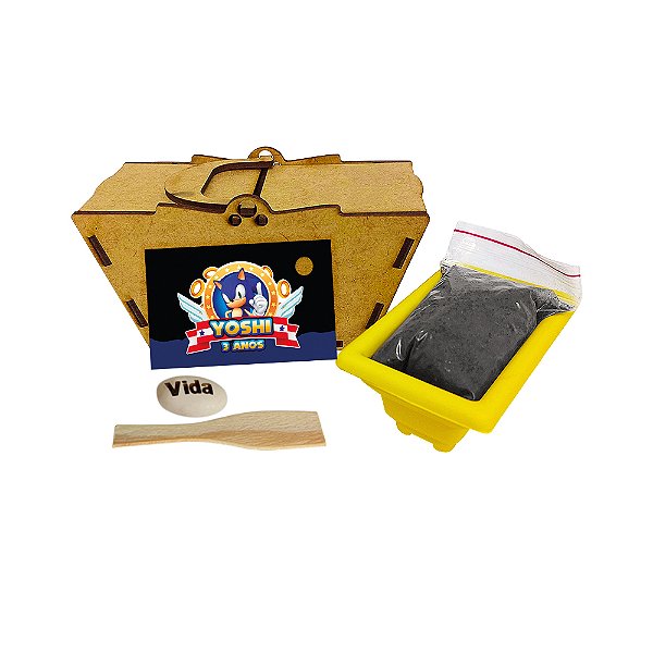 AL129 - Lembrancinha para Plantar Cestinha Pic Nic com Feijão Gravado - Tema Sonic