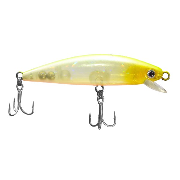 Isca Nelson Nakamura Borá Aqua 75