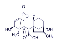 Ácido Giberélico Ga3 Puro – CAS [77-06-5] 90% 1 KG
